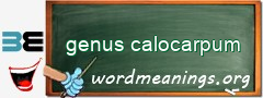 WordMeaning blackboard for genus calocarpum